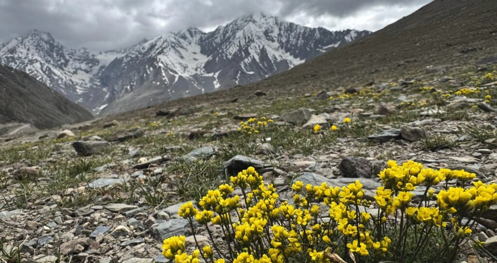 summerspiti5