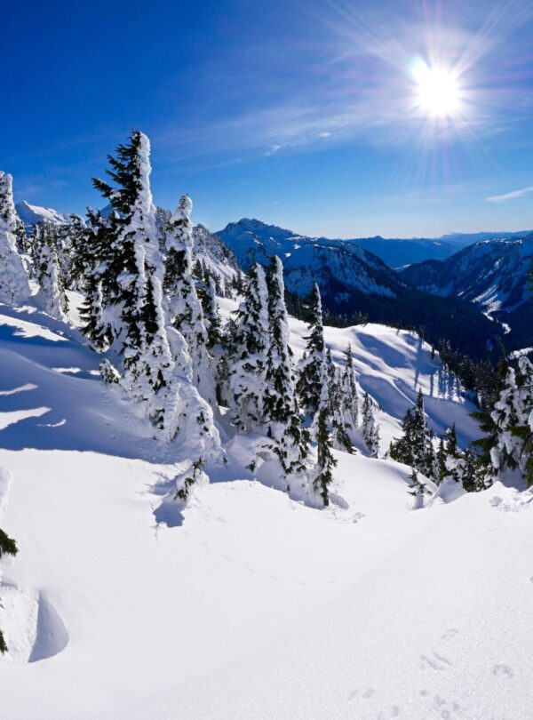 shimla-day3