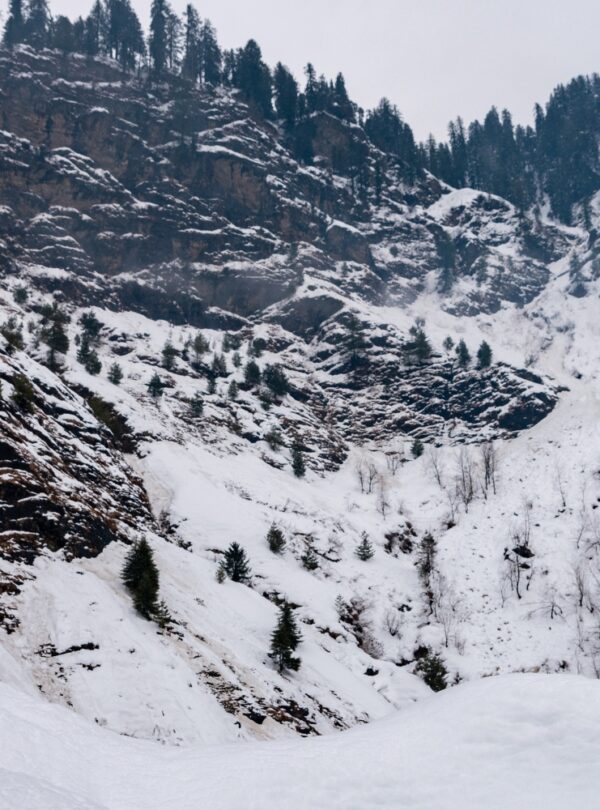 shimla-day5