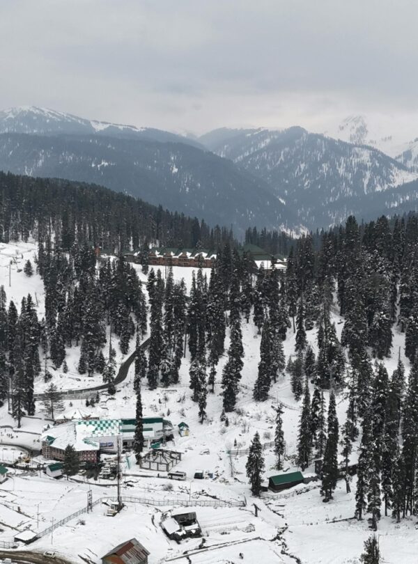 shimla-day6